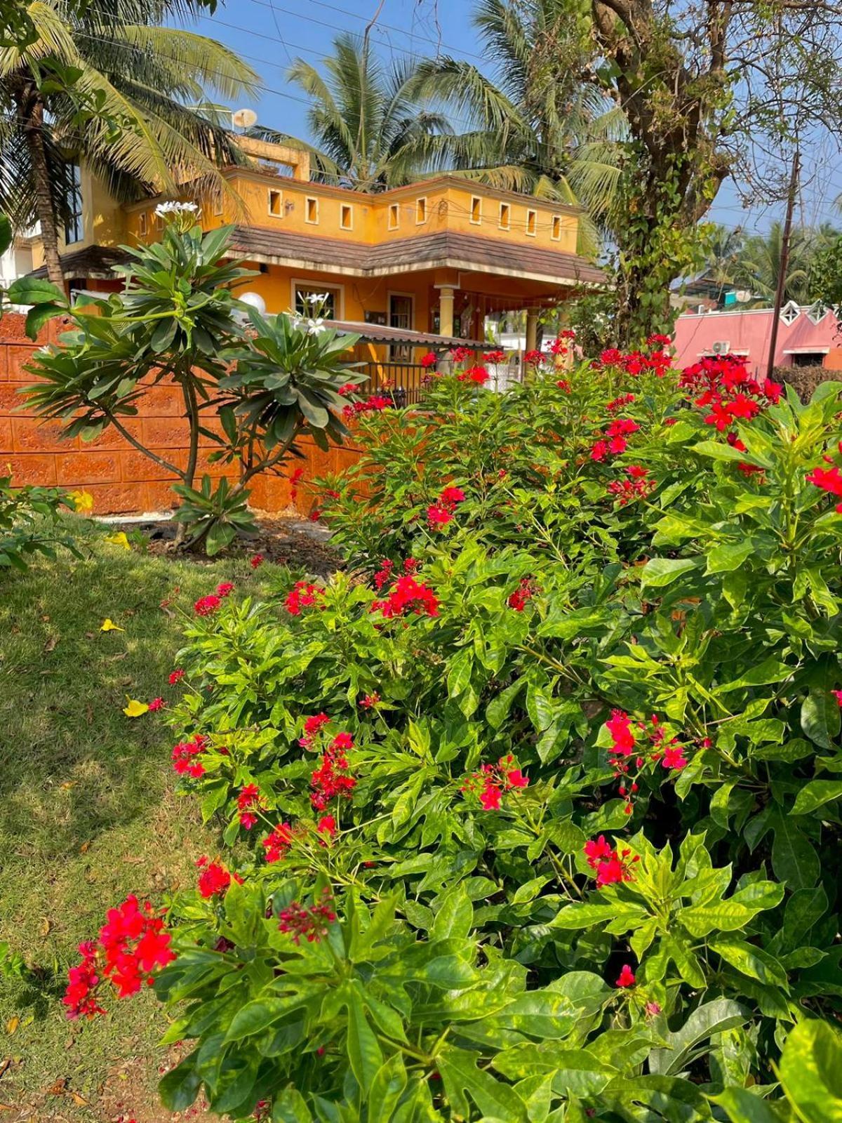 Scarlet Resort Alibág Kültér fotó